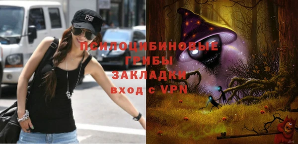 ALPHA PVP Бородино